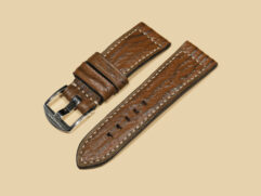 Panerai DUE with brown shark strap on wrist